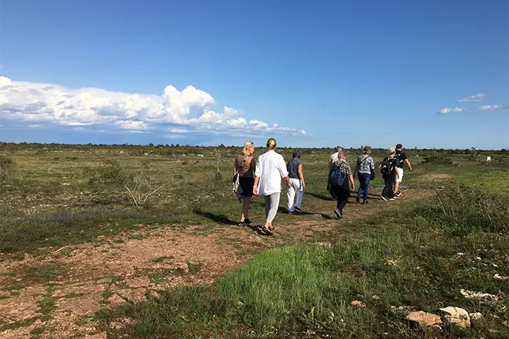 Matvandring Öland