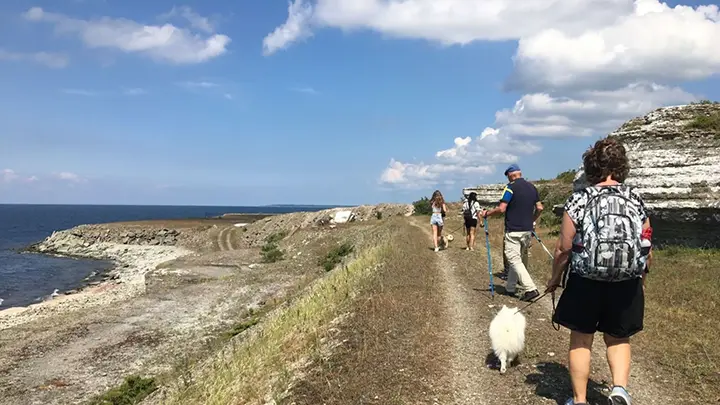 Visit Kalmar Öland - matvandring vid stenkusten Öland