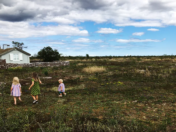 Visit Kalmar Öland - Matvandring Alvaret